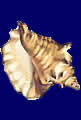 accueil